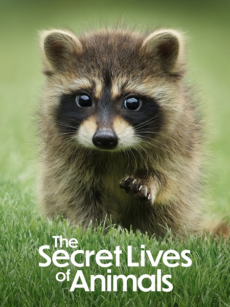 مسلسل The Secret Lives of Animals الموسم الاول الحلقة 6 مترجمة
