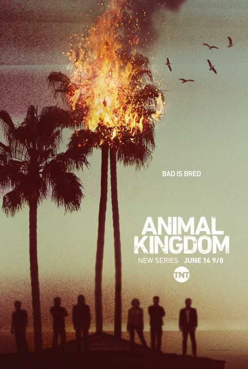 مسلسل Animal Kingdom الموسم الاول الحلقة 7