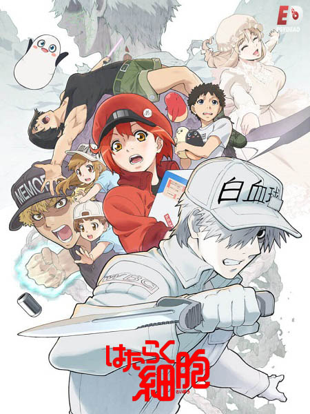 انمي Hataraku Saibou الموسم الثاني الحلقة 8 مترجمة