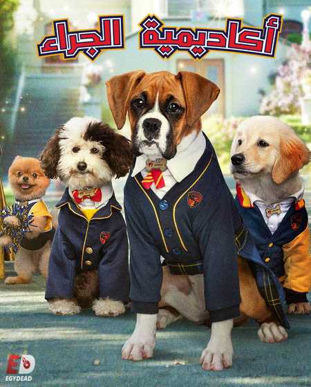 مسلسل Pup Academy الموسم الثاني الحلقة 7