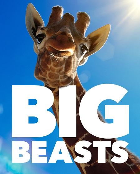 مسلسل Big Beasts الموسم الاول الحلقة 9 مترجمة