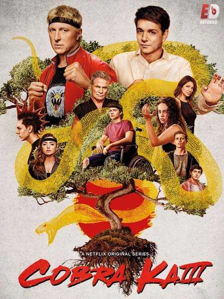 مسلسل Cobra Kai الموسم الثالث الحلقة 3 مترجمة
