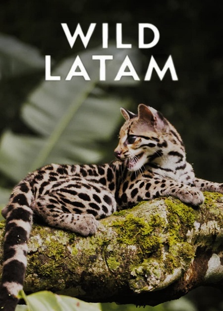 مسلسل Wild Latam الموسم الاول الحلقة 6 مترجمة