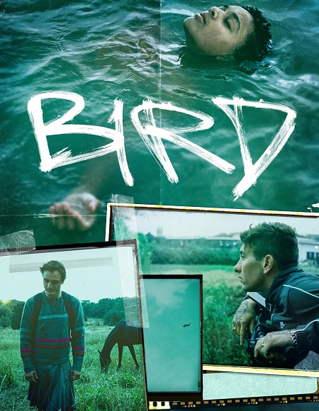 مشاهدة فيلم Bird 2024 مترجم