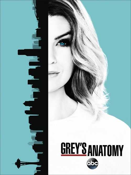 مسلسل Greys Anatomy الموسم 13 الحلقة 10