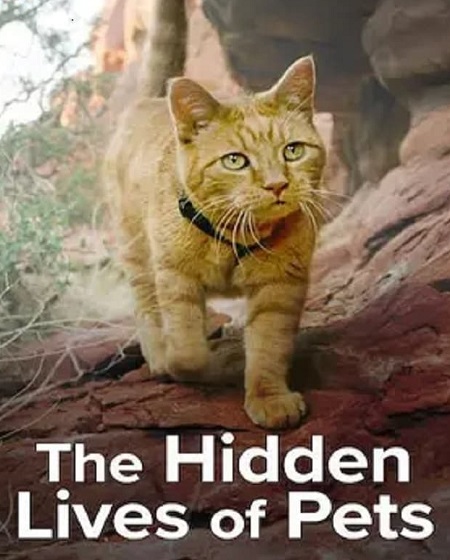 مسلسل The Hidden Lives of Pets الموسم الاول الحلقة 3 مترجمة
