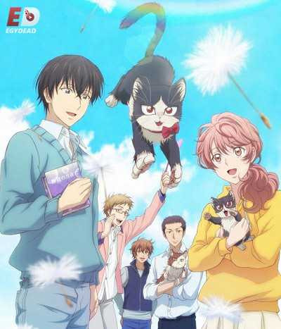 انمي Doukyonin wa Hiza Tokidoki Atama no Ue الحلقة 11